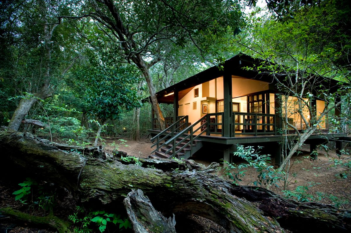 Phinda Forest Lodge, Phinda Private Game Reserve, South Africa