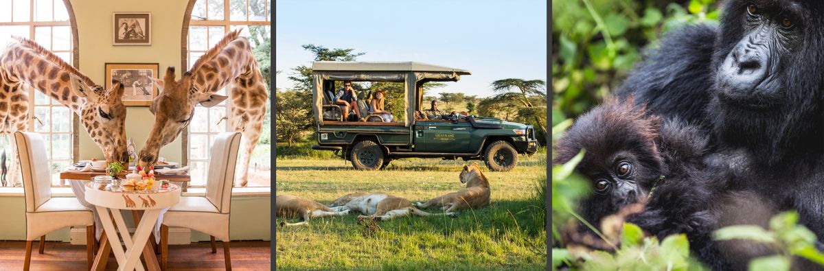 south africa safaris 2024