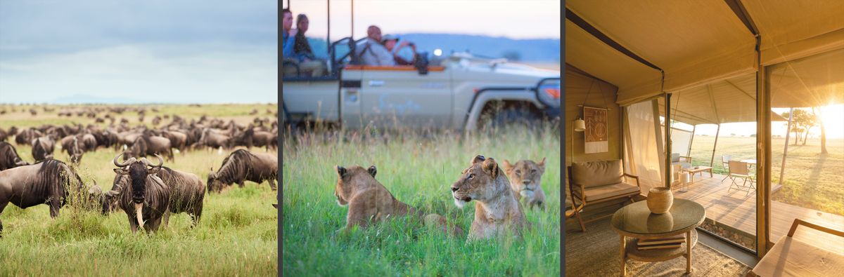 south africa safaris 2024